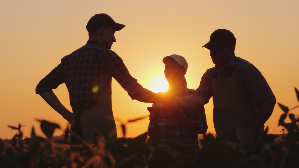 foto de três pessoas no meio de um campo dentro de uma fazenda